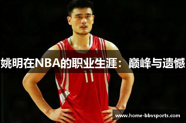 姚明在NBA的职业生涯：巅峰与遗憾